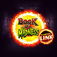 Book of Money slot game